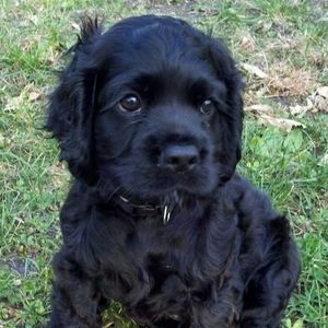 Meet your Posher, Mel